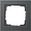 Gira Gira Standard 55 -  E2 cover frame - 1-gang