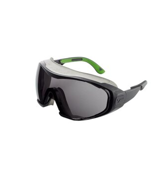 Schutzbrille 6X1.00.00.01 smoke