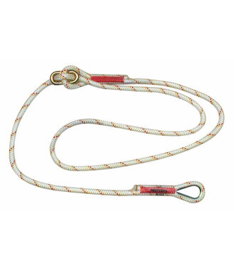 Protecta ligne de positionnement de travail AL422