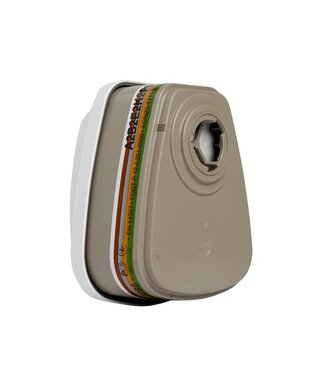 6099 Combinatiefilter A2B2E2K2HgP3 R+