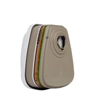 6099 Filtre combiné A2B2E2K2HgP3 R+