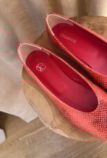 Odare Bilbao Golia Rosso