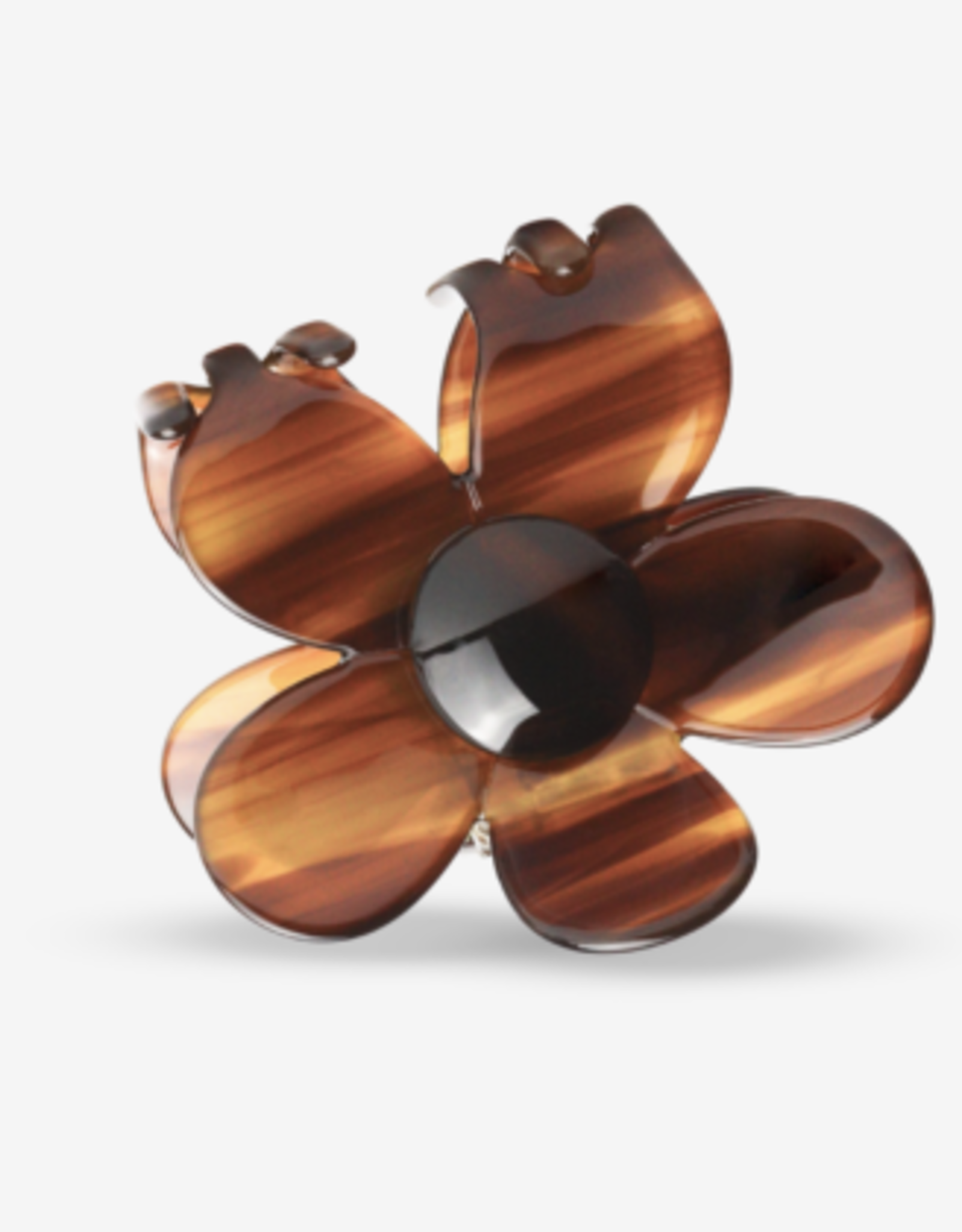 Sasstie Bloom Mocha