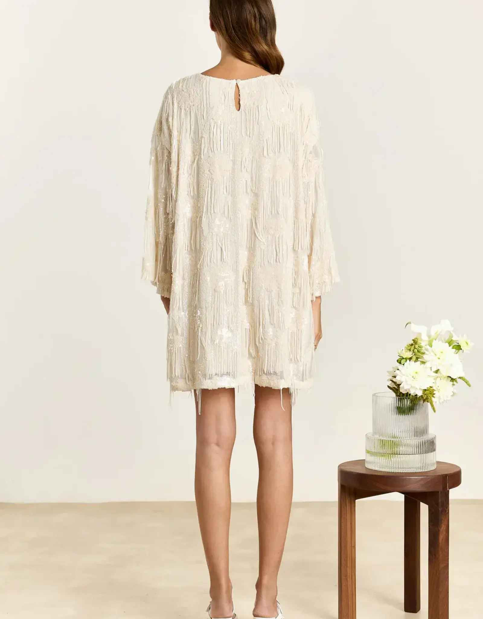Studio Clique Violet Sequin Fringe Dress Cream