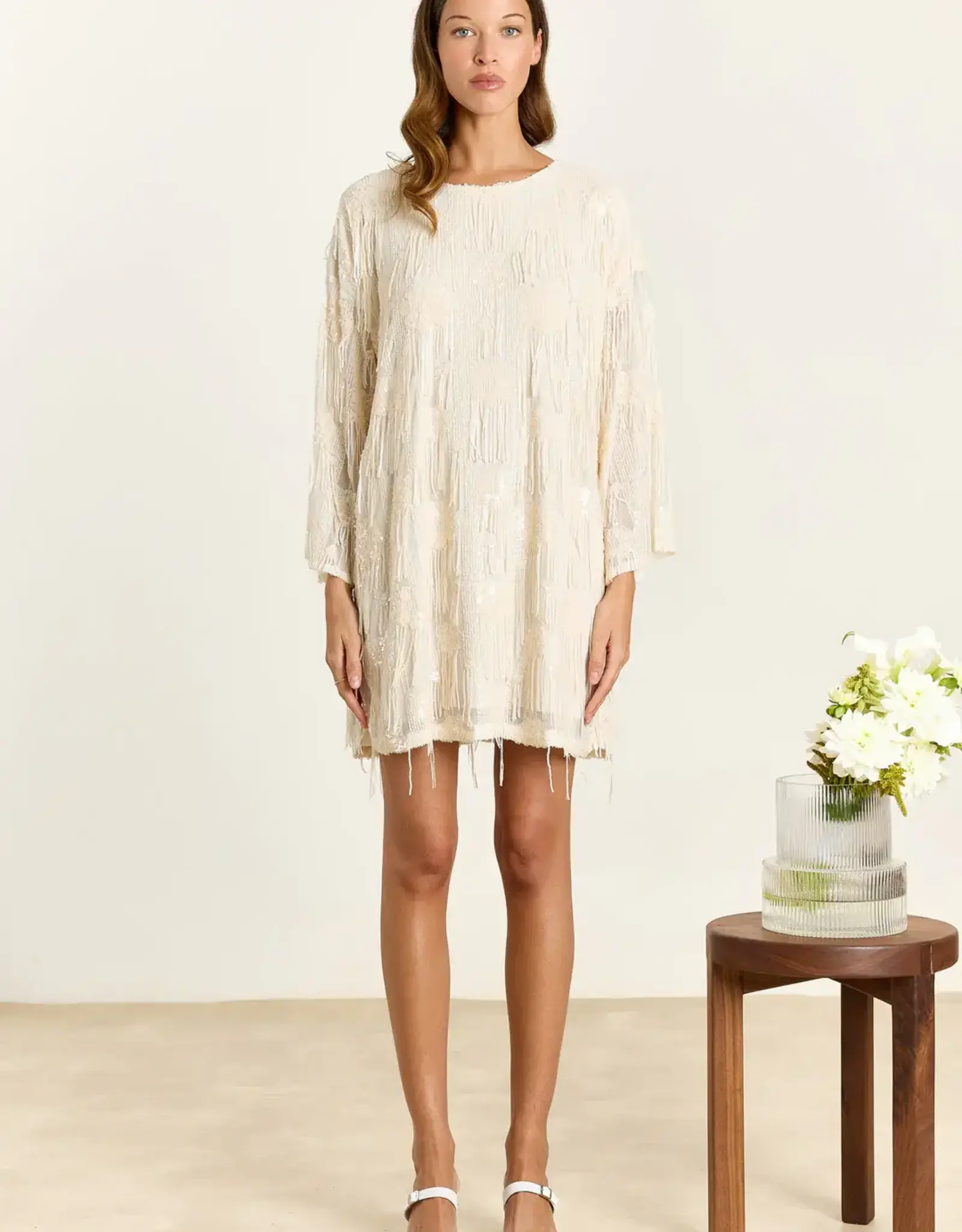 Studio Clique Violet Sequin Fringe Dress Cream