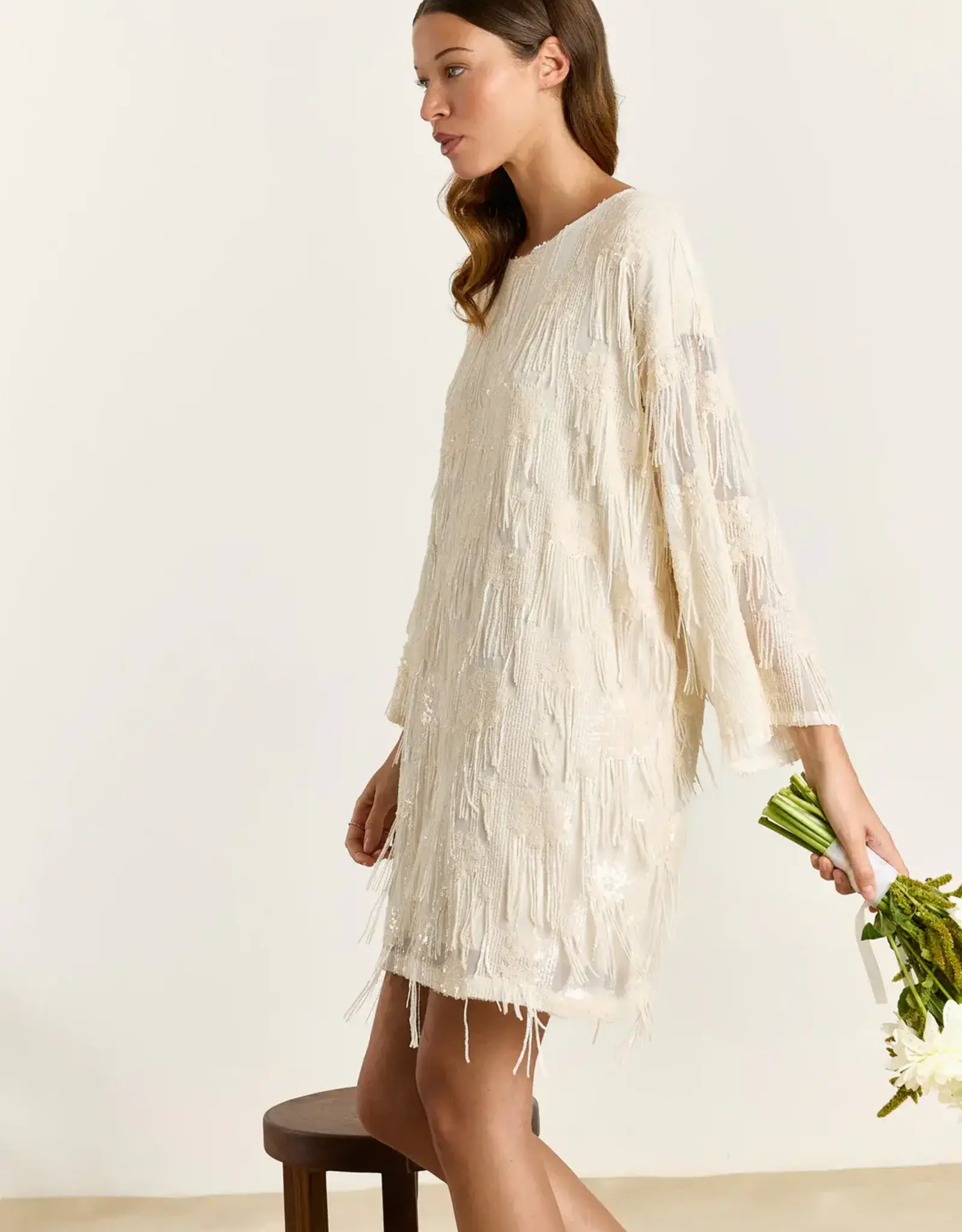 Studio Clique Violet Sequin Fringe Dress Cream