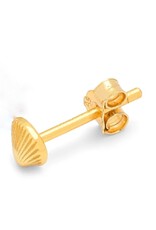 Lulu Shell Stud Gold
