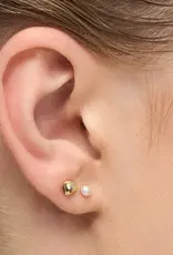 Lulu Shell Stud Gold