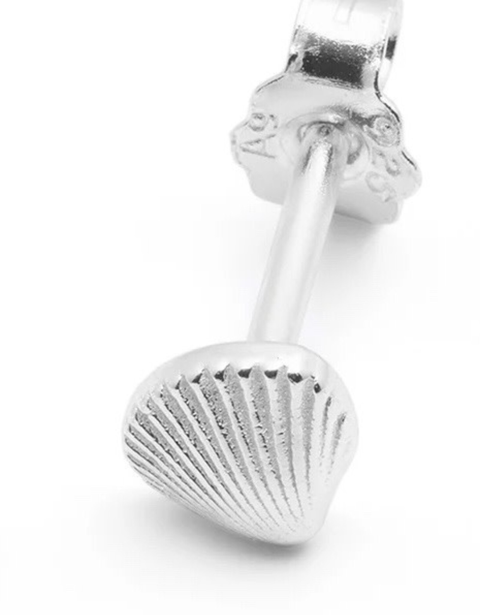 Lulu Shell Stud Silver