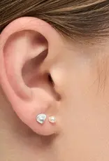 Lulu Shell Stud Silver