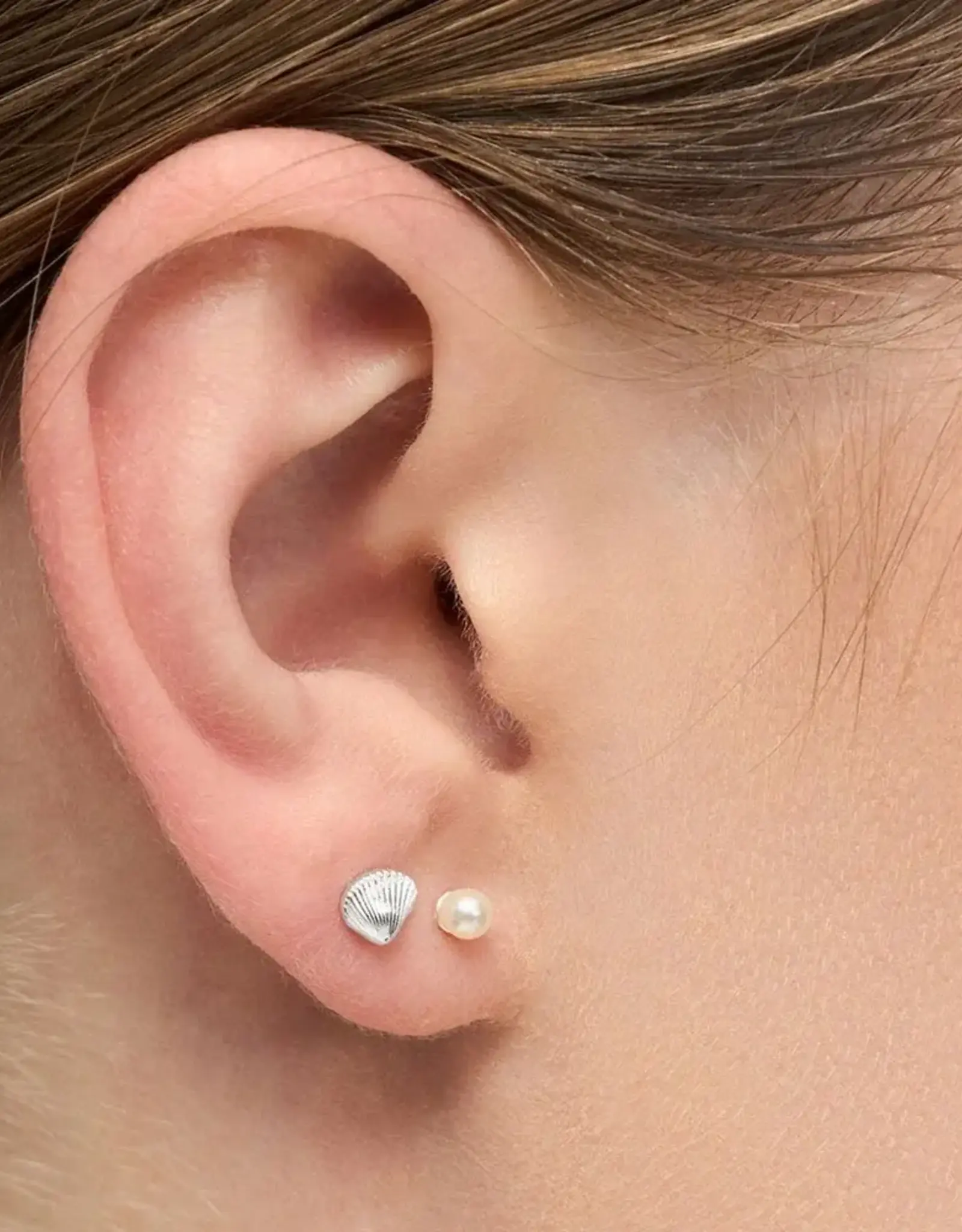 Lulu Shell Stud Silver