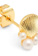 Lulu Bouquet Shell & Pearls Stud Gold
