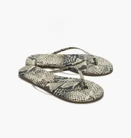 Tkees Slipper Sand Snake