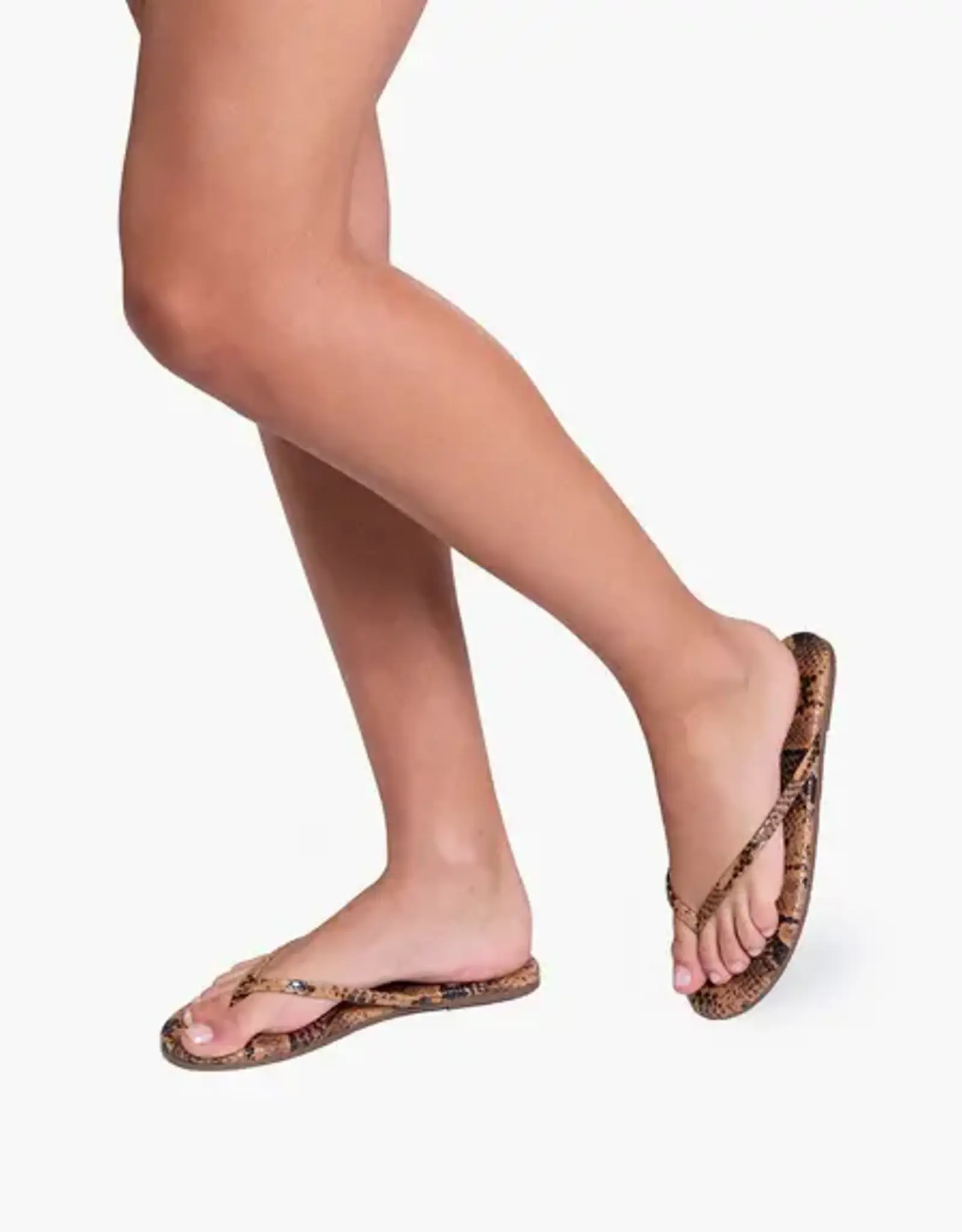 Tkees Slipper Coco Snake