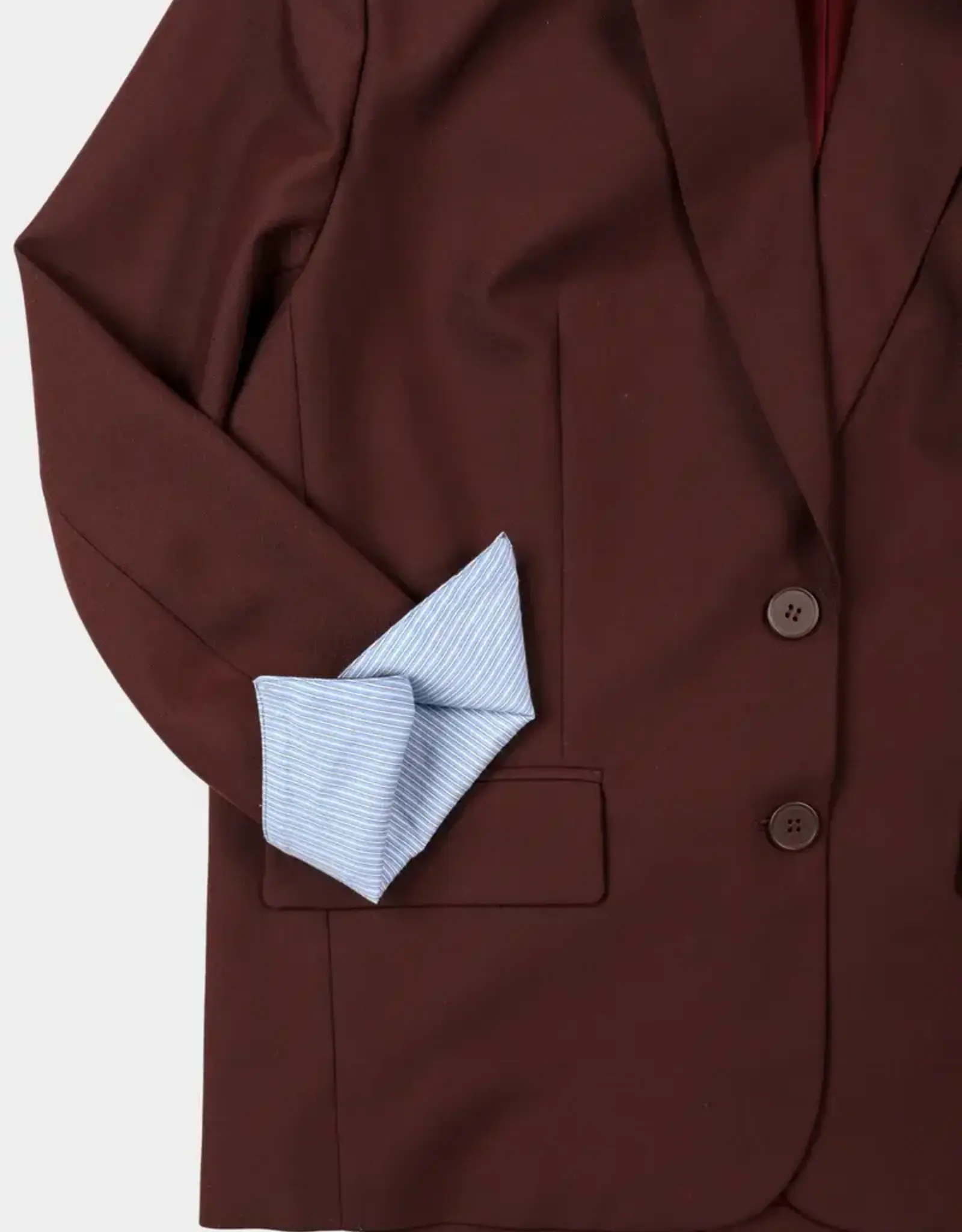 Noted Ari Blazer Bordeaux