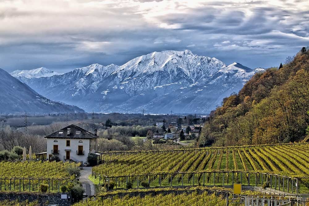 Région Viticole Tessin