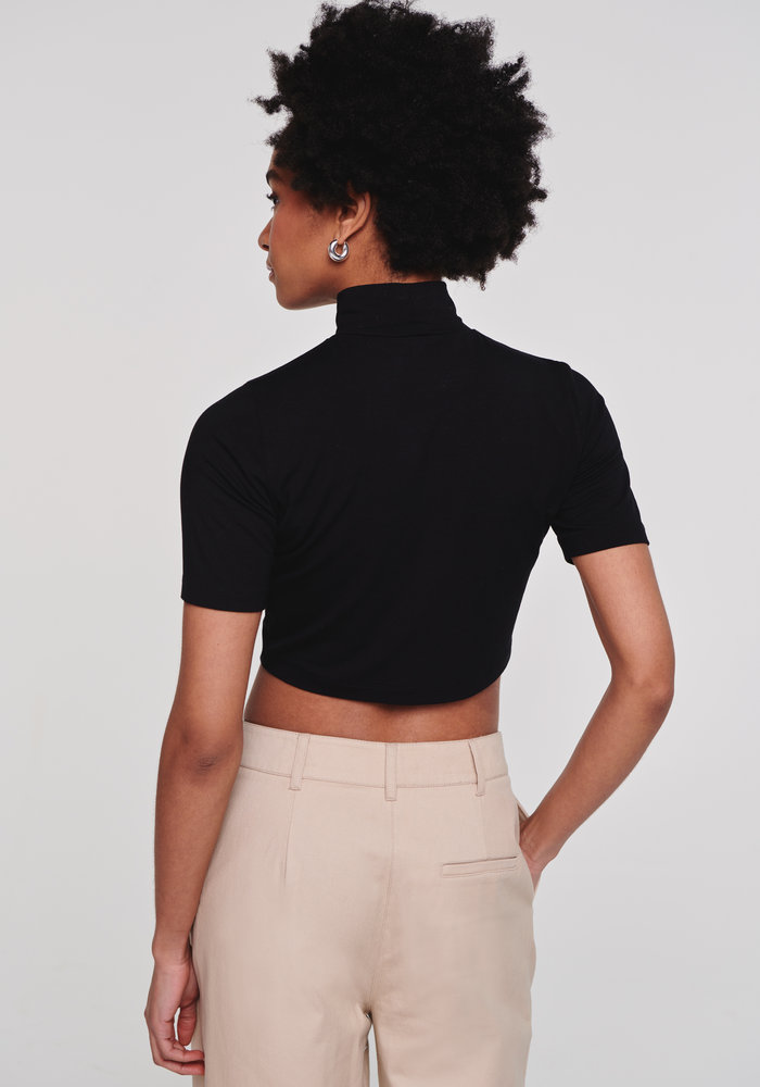 Aligne Hotel Crop Hi Neck Top