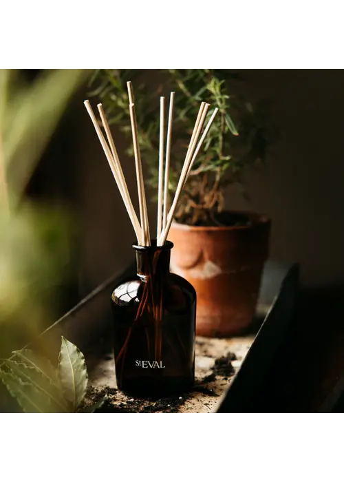 ST EVAL St Eval Reed Diffuser Boxed