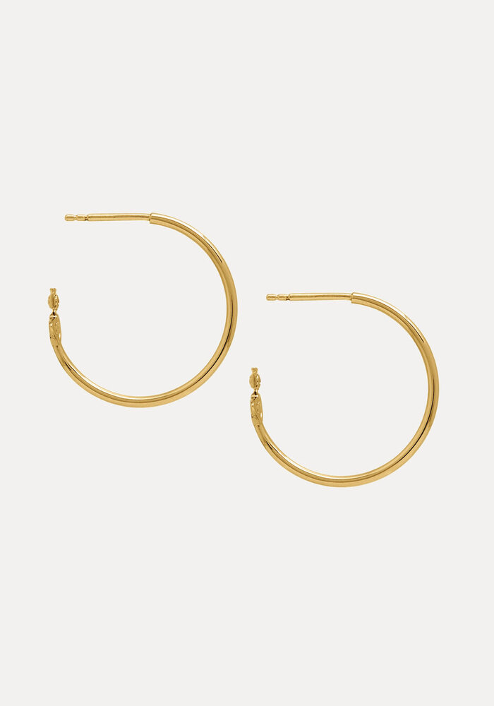 Vivienne Westwood Heather Hoop Earrings 62030091