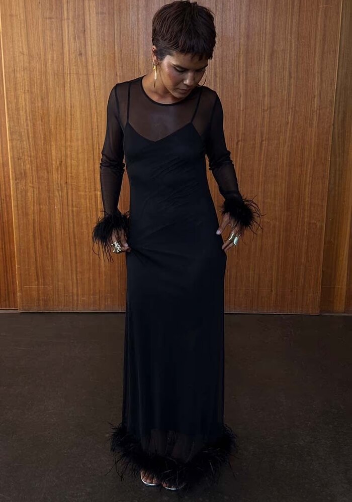 Never Fully Dressed Mesh Feather Trim Dress