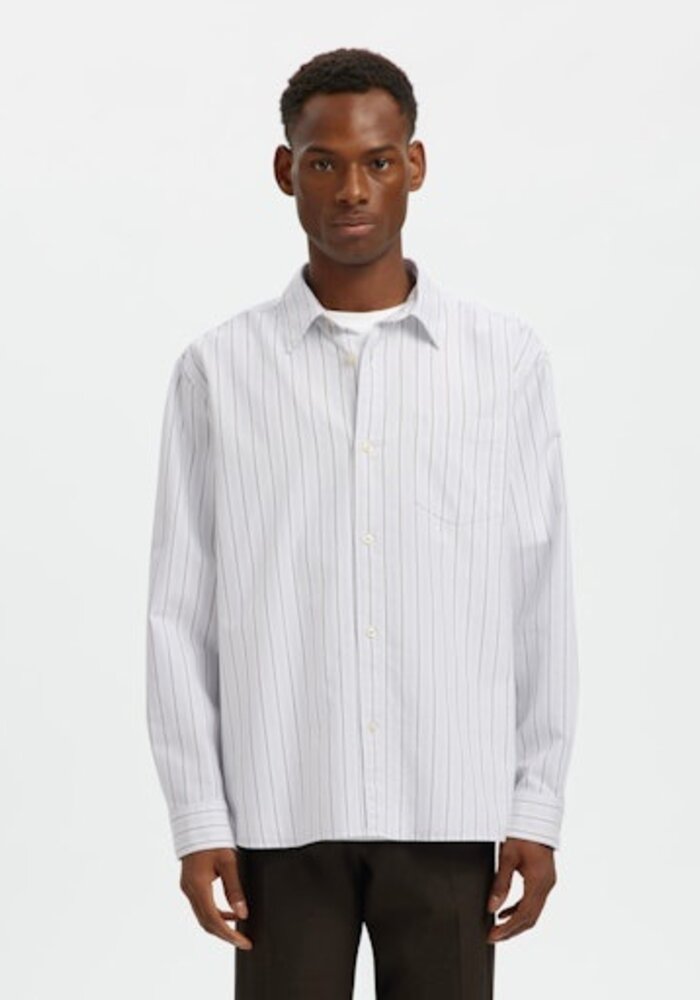 Selected Homme Sander Oxford Shirt
