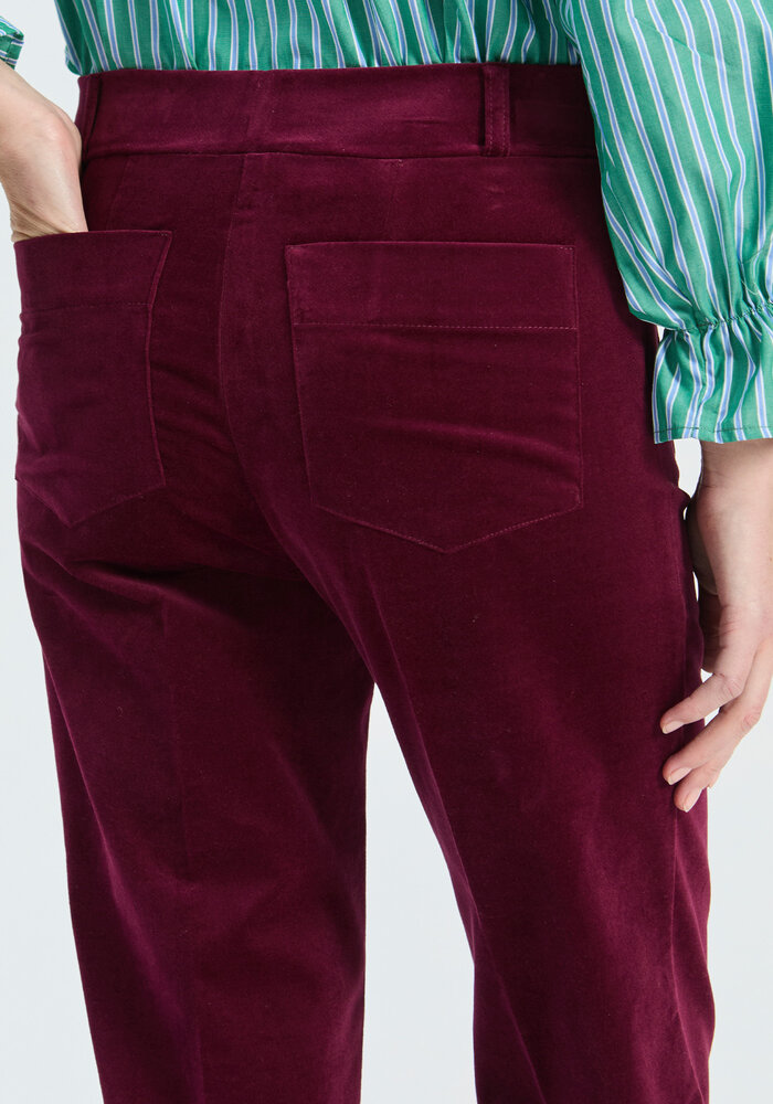 Vilagallo Burgundy Velvet Trousers 33835