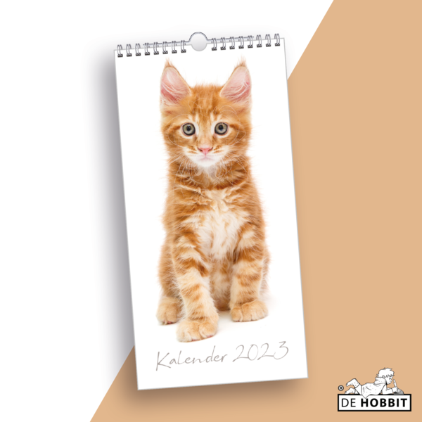  Minikalender Katten 2023