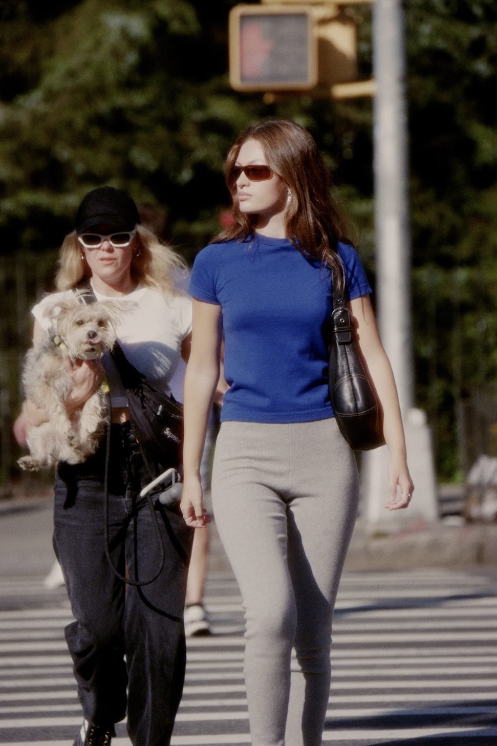 Extreme cashmere x america ,primary blue - La Neuvieme Extreme cashmere x america ,primary blue - La Neuvieme