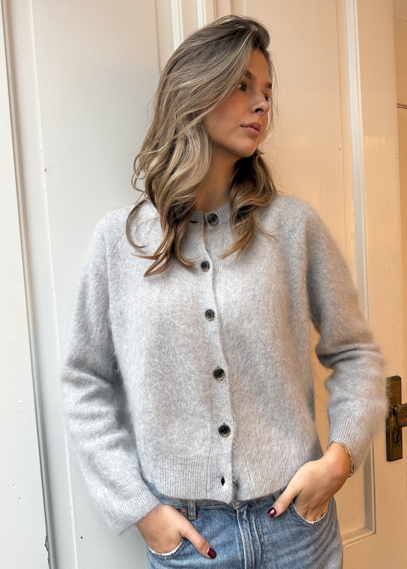 Lisa Yang Melba Cardigan Jacket | Cloudy Brushed