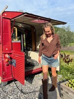 XIRENA Xirena Beau shirt | stallion