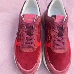 PREMIATA Premiata Lauryn 7804| bordeaux,red