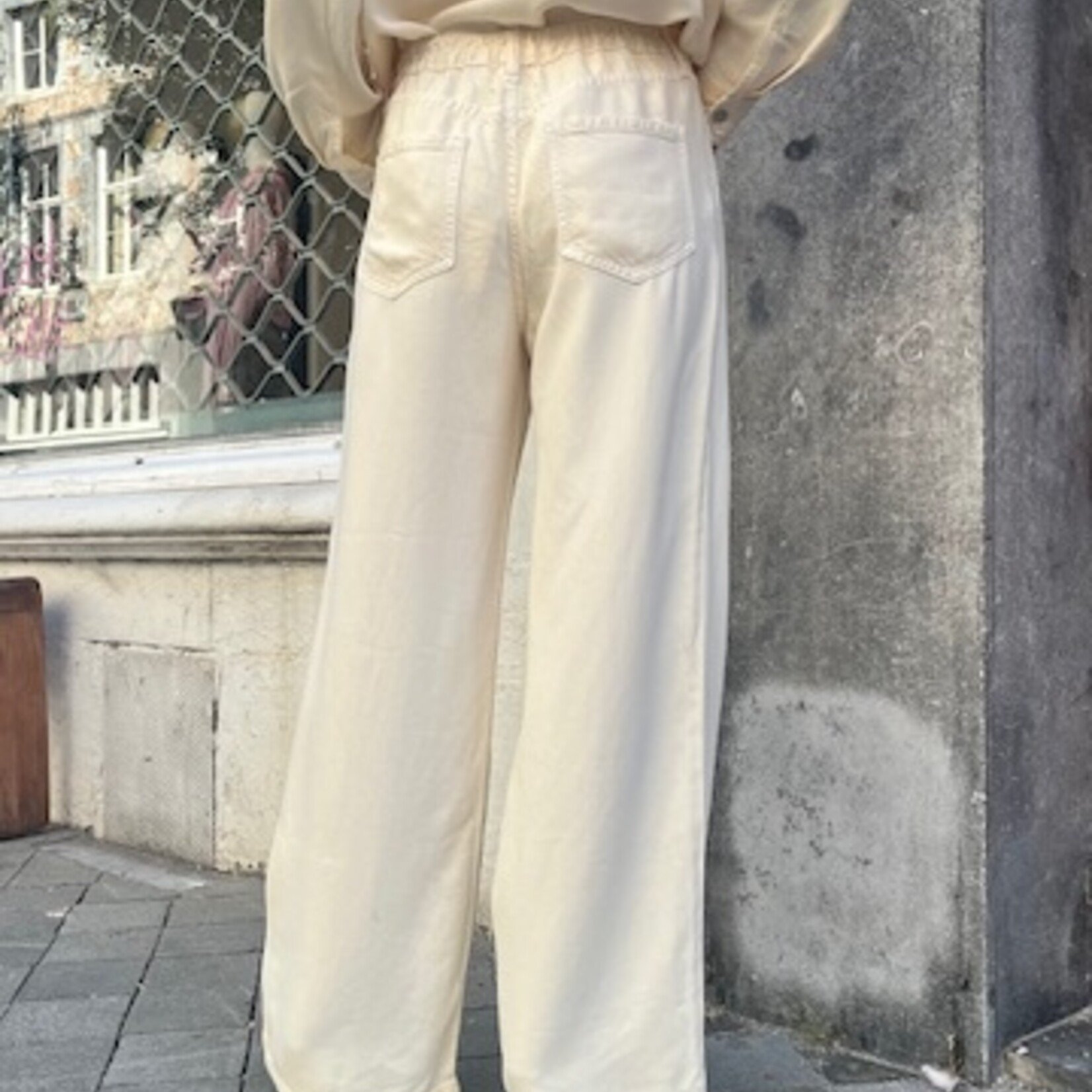 XIRENA Xirena  Nixon Pant| ecru