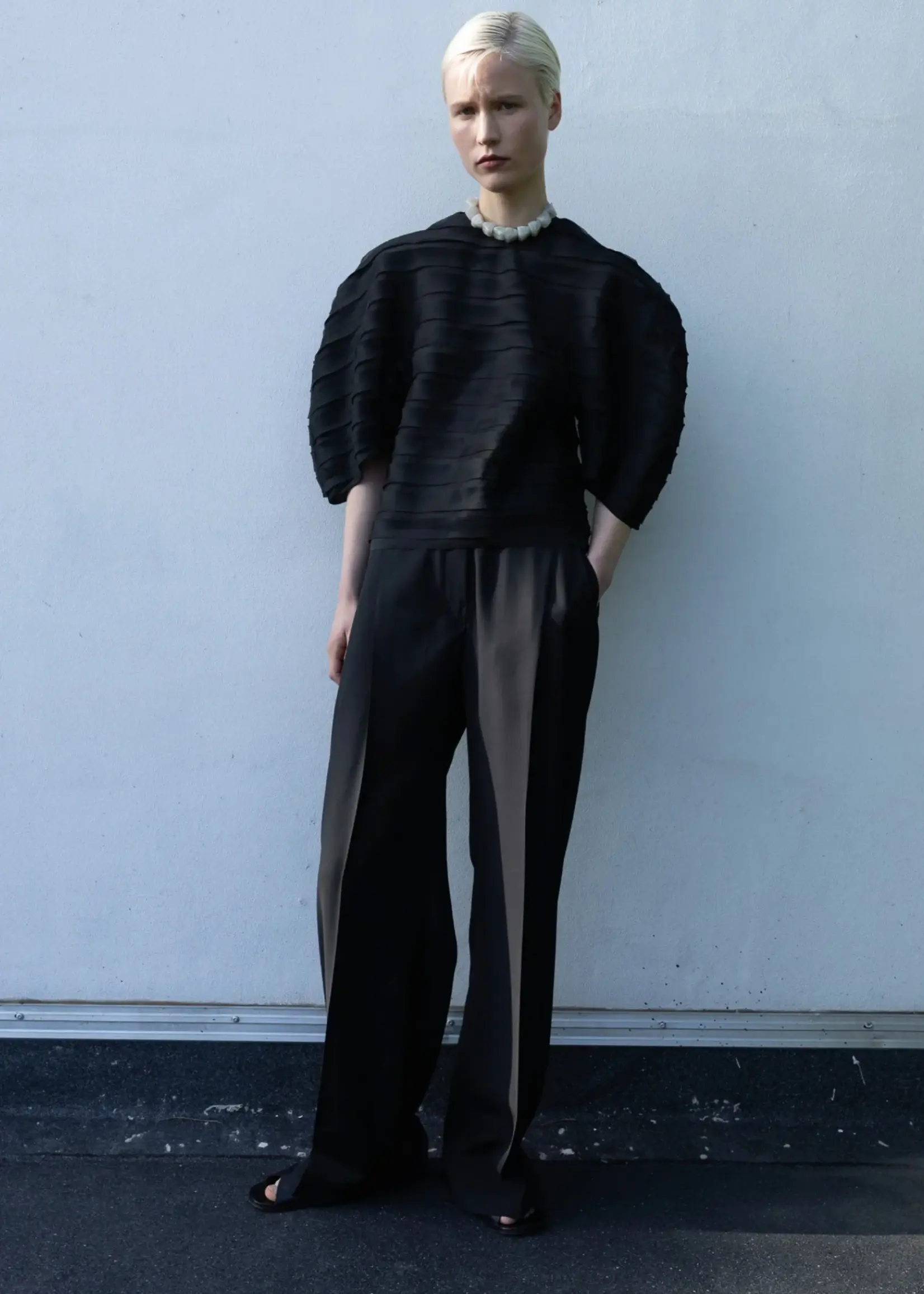 CHRISTIAN WIJNANTS Christian Wijnants Pigas organza Pants ,black Organza