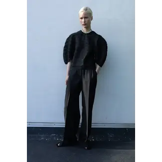 CHRISTIAN WIJNANTS Christian Wijnants Pigas organza Pants | Black Organza