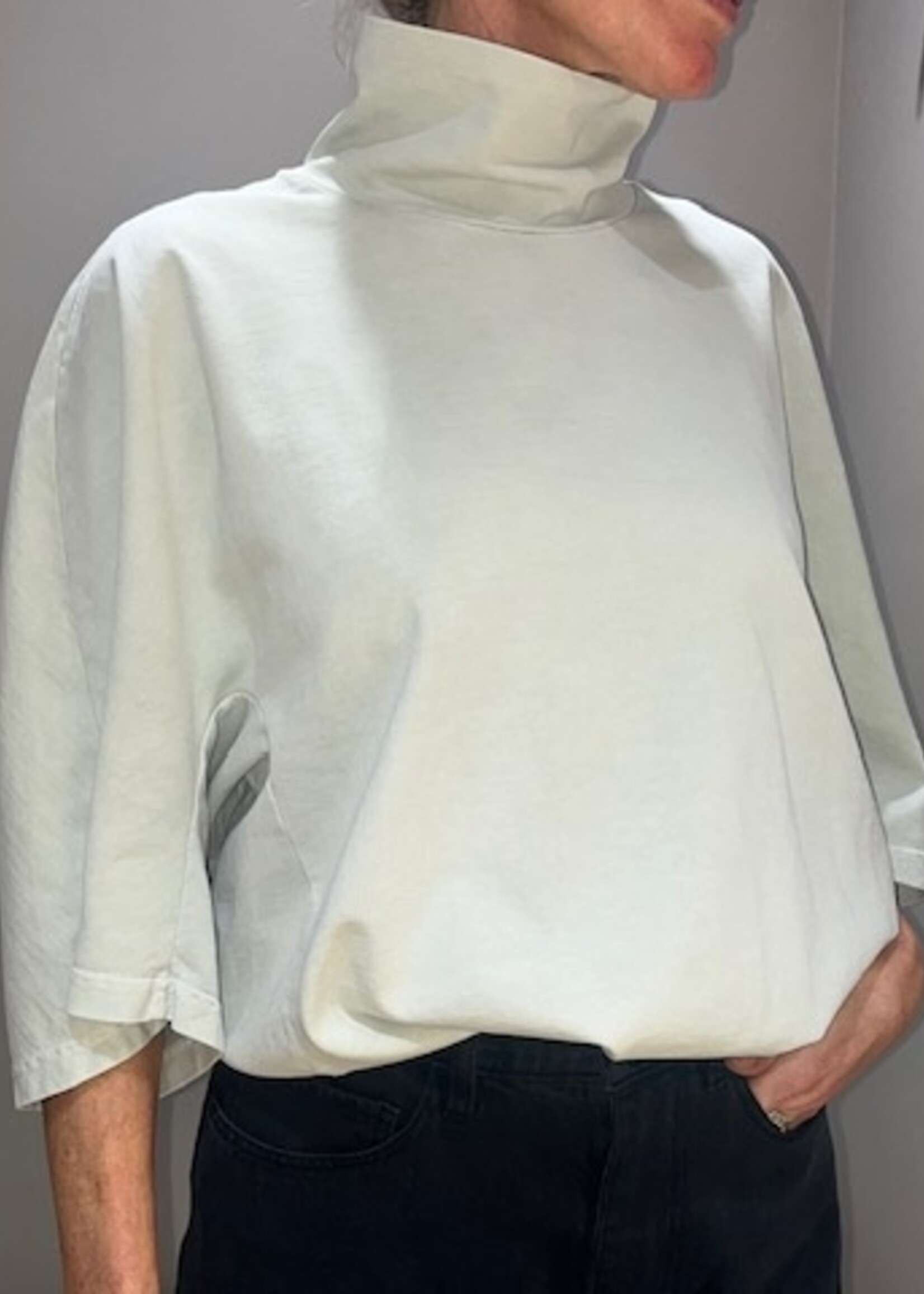 CHRISTIAN WIJNANTS Christian Wijnants Tiria garment dyed  t shirt | Mint