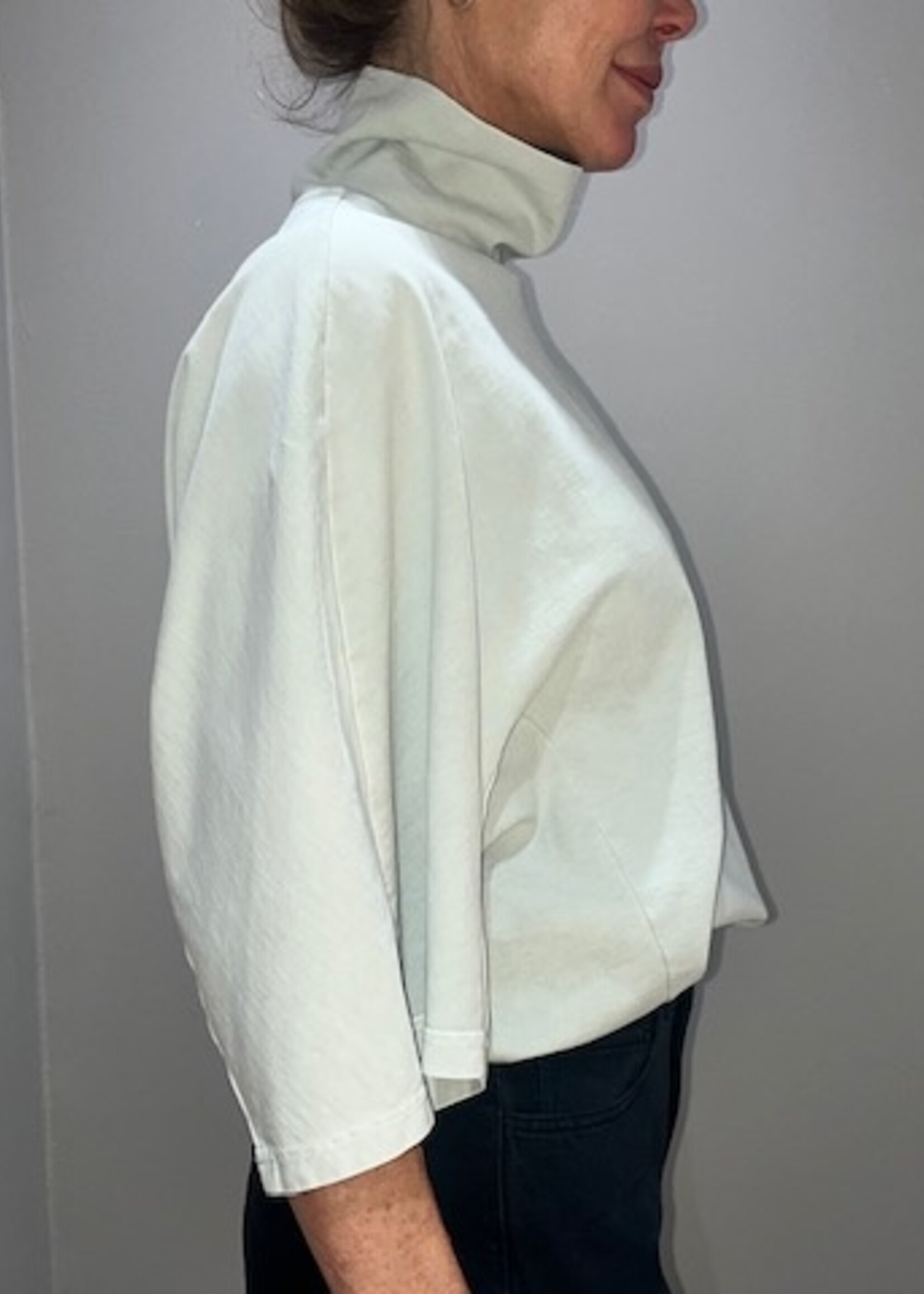 CHRISTIAN WIJNANTS Christian Wijnants Tiria garment dyed  t shirt | Mint