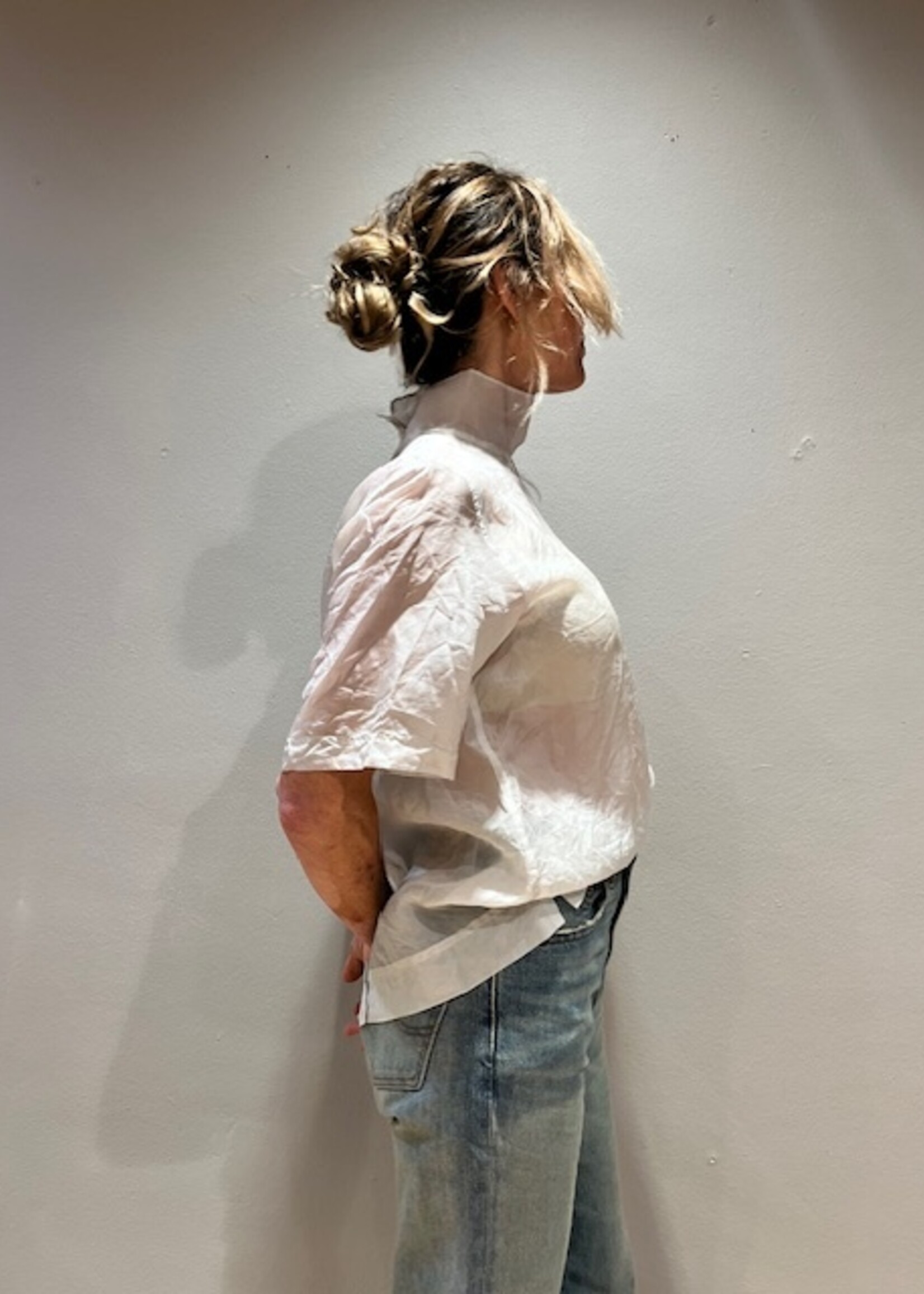 CHRISTIAN WIJNANTS Christian Wijnants Washed Turtle Neck Organza Top | Cement Cloud