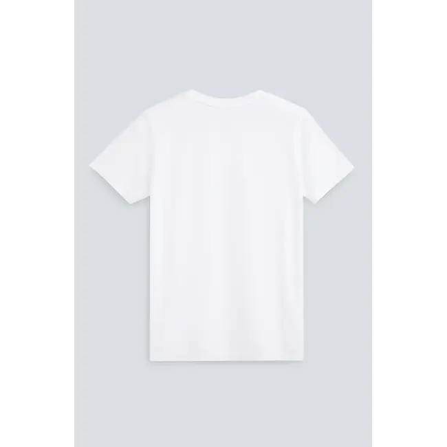 The Stella | Crispy White
