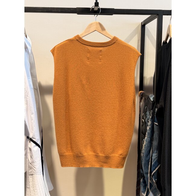 Extreme Cashmere X  n 455 Bos | Fox