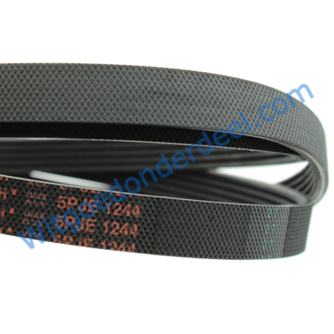 Beko snaar van wasmachine 2466300201