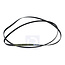 Bosch Siemens Poly-V-snaar van wasdroger 00650499