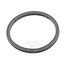 Philips afdichtingsrubber van blender 300009504581 CP1992/01