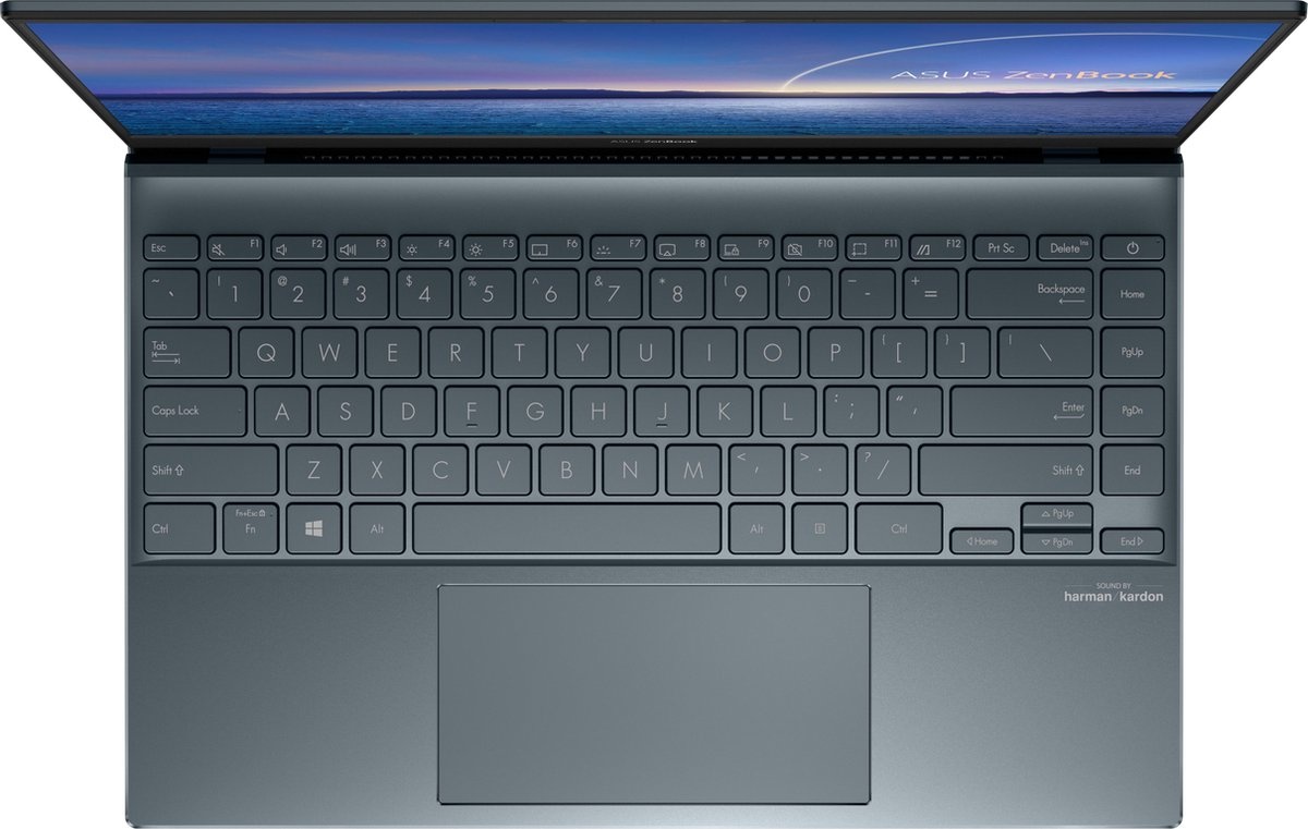 ASUS ZenBook 14 inch Laptop (UX425EA-HM046T)