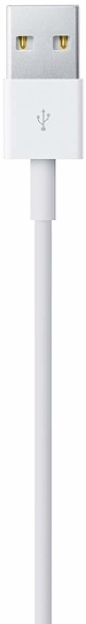Apple Lightning to USB Cable 1 Meter