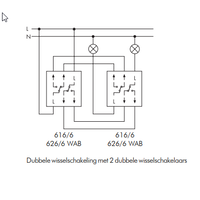 PEHA wissel-wisselschakelaar 2 gescheiden circuits met schroefcontact 10A (616/6)