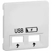 PEHA centraalplaat USB 2-voudig Standard levend wit (80.610.02 USB SPV)