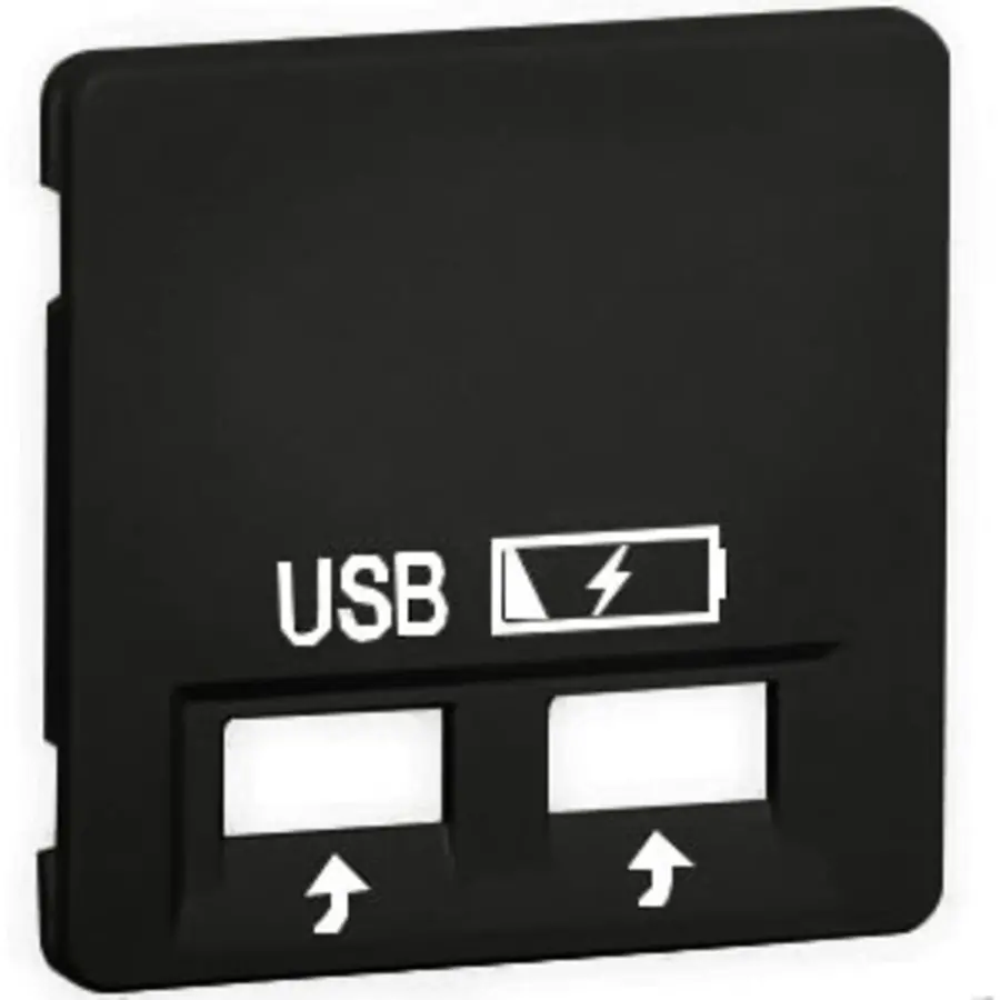 PEHA centraalplaat USB 2-voudig Aura antraciet (20.610.21 USB SPV)