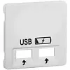 PEHA centraalplaat USB 2-voudig Nova levend wit (20.610.022 USB SPV)