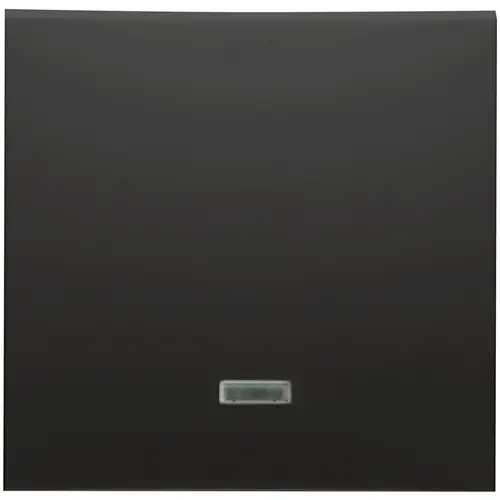 PEHA schakelwip controlevenster 500 serie Badora zwart mat (D 11.540.193 GLK)