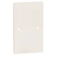 PEHA montageplaat tweevoudig opbouw schakelmateriaal creme (D 32)